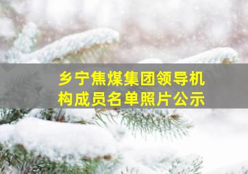 乡宁焦煤集团领导机构成员名单照片公示