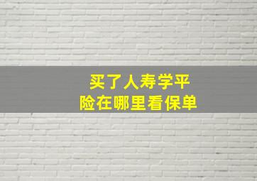 买了人寿学平险在哪里看保单