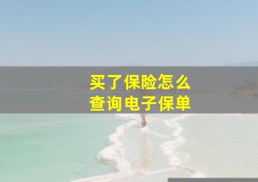 买了保险怎么查询电子保单