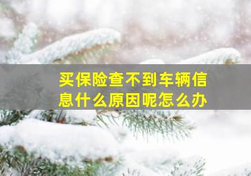 买保险查不到车辆信息什么原因呢怎么办