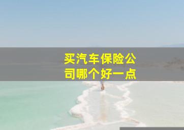 买汽车保险公司哪个好一点