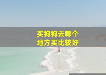 买狗狗去哪个地方买比较好