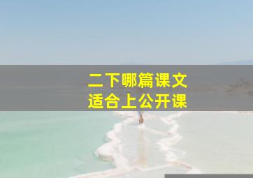 二下哪篇课文适合上公开课