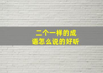 二个一样的成语怎么说的好听