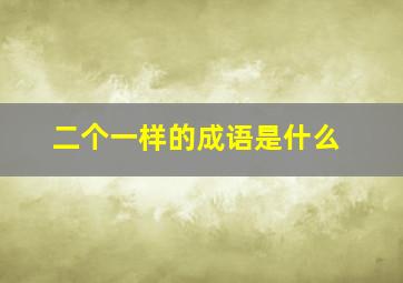 二个一样的成语是什么