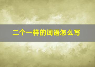 二个一样的词语怎么写