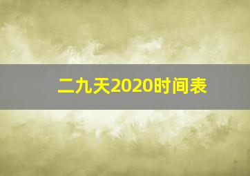 二九天2020时间表