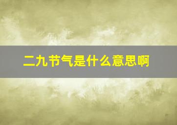 二九节气是什么意思啊