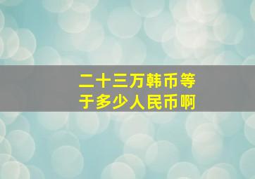 二十三万韩币等于多少人民币啊