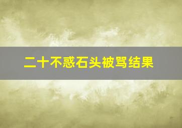 二十不惑石头被骂结果