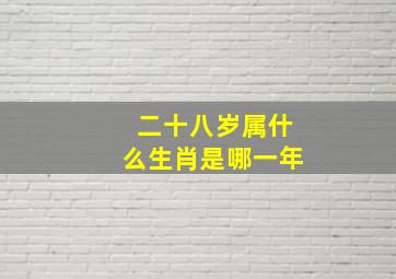 二十八岁属什么生肖是哪一年