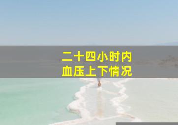 二十四小时内血压上下情况