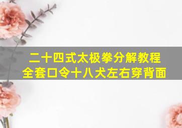 二十四式太极拳分解教程全套口令十八犬左右穿背面