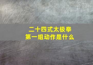 二十四式太极拳第一组动作是什么