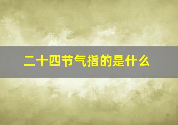 二十四节气指的是什么