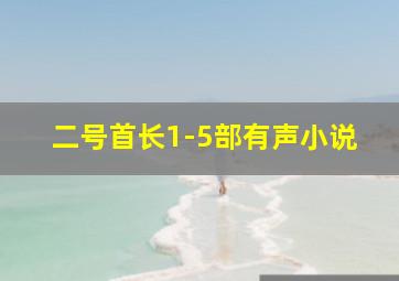 二号首长1-5部有声小说