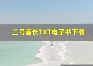 二号首长TXT电子书下载