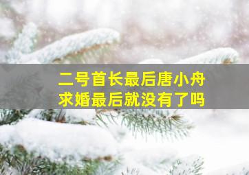 二号首长最后唐小舟求婚最后就没有了吗