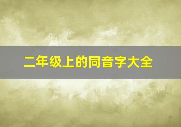 二年级上的同音字大全