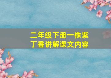 二年级下册一株紫丁香讲解课文内容