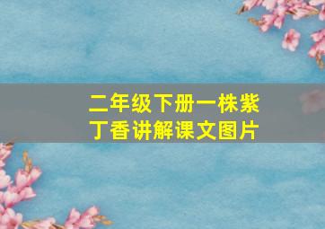 二年级下册一株紫丁香讲解课文图片