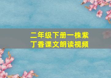 二年级下册一株紫丁香课文朗读视频