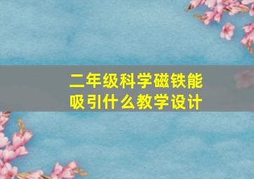 二年级科学磁铁能吸引什么教学设计