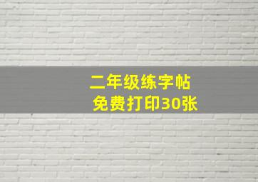 二年级练字帖免费打印30张