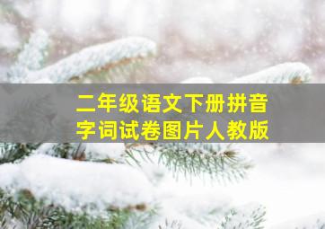 二年级语文下册拼音字词试卷图片人教版