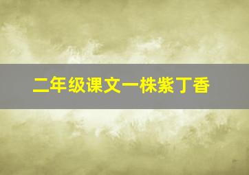 二年级课文一株紫丁香