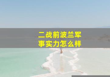 二战前波兰军事实力怎么样