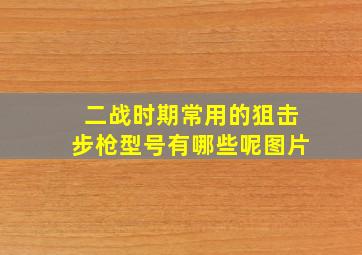 二战时期常用的狙击步枪型号有哪些呢图片