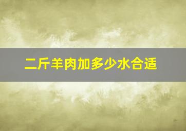 二斤羊肉加多少水合适