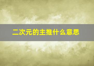 二次元的主推什么意思