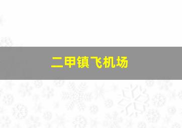 二甲镇飞机场