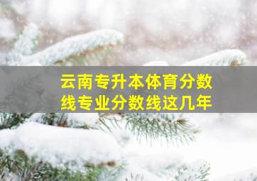 云南专升本体育分数线专业分数线这几年