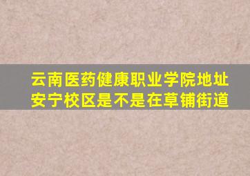 云南医药健康职业学院地址安宁校区是不是在草铺街道