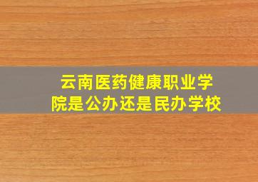 云南医药健康职业学院是公办还是民办学校