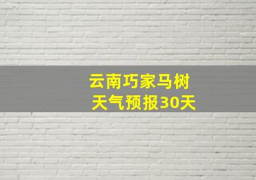 云南巧家马树天气预报30天