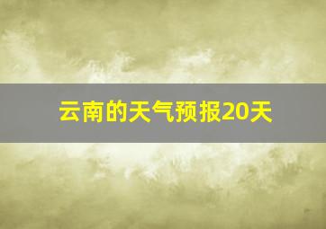 云南的天气预报20天