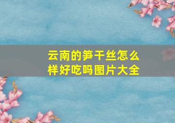 云南的笋干丝怎么样好吃吗图片大全