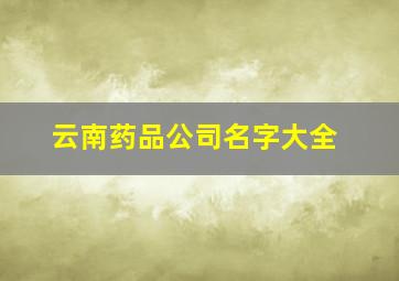 云南药品公司名字大全