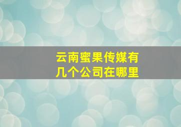 云南蜜果传媒有几个公司在哪里