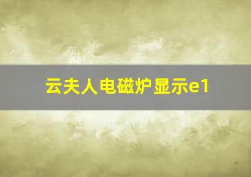 云夫人电磁炉显示e1