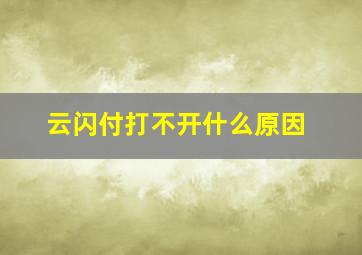 云闪付打不开什么原因