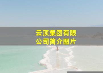 云顶集团有限公司简介图片