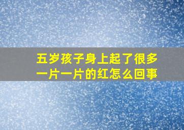 五岁孩子身上起了很多一片一片的红怎么回事