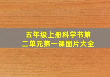 五年级上册科学书第二单元第一课图片大全