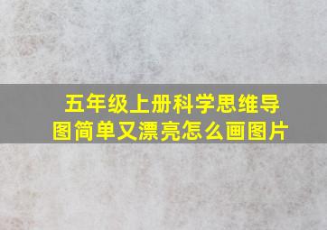 五年级上册科学思维导图简单又漂亮怎么画图片