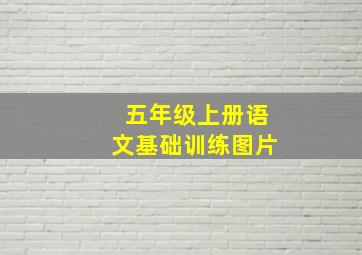 五年级上册语文基础训练图片